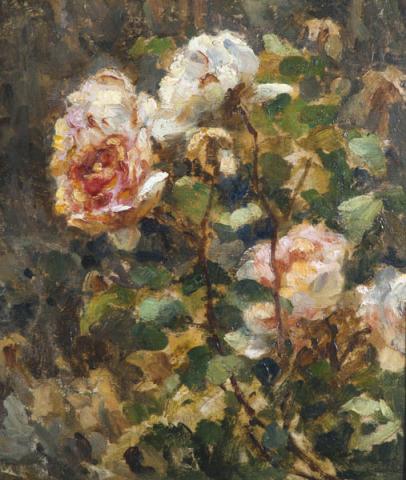 Primera imagen del registro Rosas