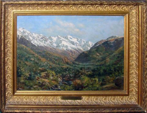 Primera imagen del registro Cordillera de Petorca