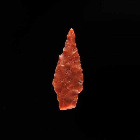 Primera imagen del registro Micropunta de proyectil