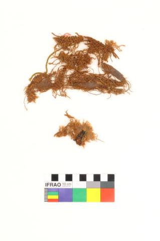 Primera imagen del registro Tejido (material textil)