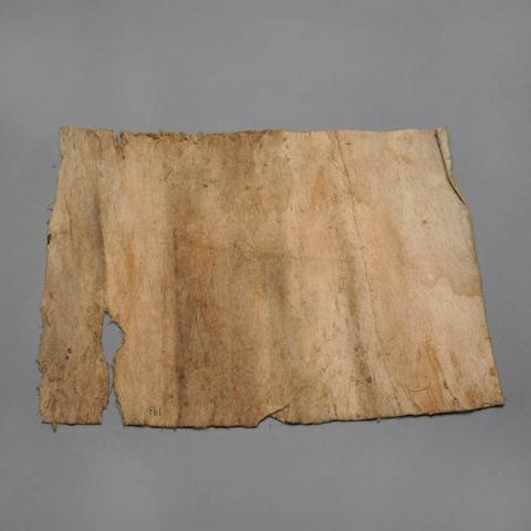 Primera imagen del registro Textil