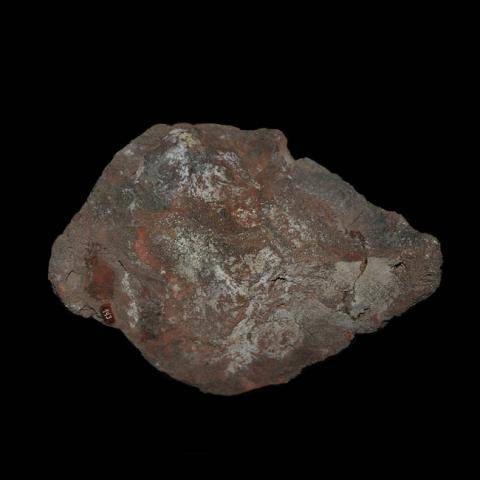 Primera imagen del registro Muestra