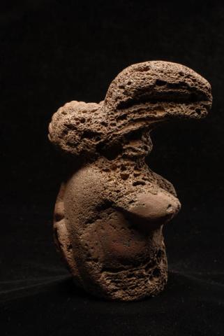 Primera imagen del registro Moai Tangata Manu