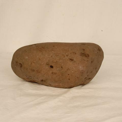 Primera imagen del registro Poro