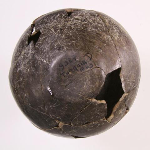 Jorge Gonzalez Gronow