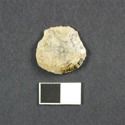 Primera imagen del registro Raspador
