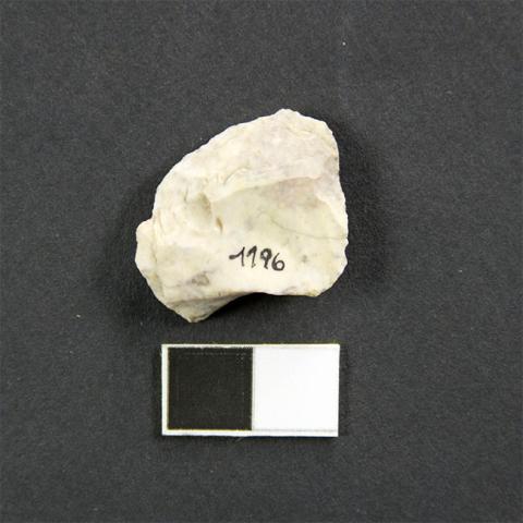 Primera imagen del registro Instrumento