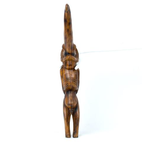 Primera imagen del registro Moai Tangata Manu