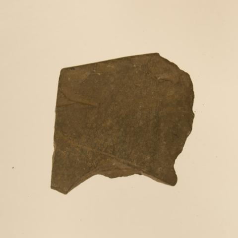 Primera imagen del registro Toki (Rapa Nui)