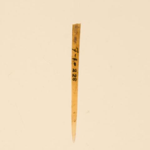 Primera imagen del registro Aguja (arqueológico y etnográfico)