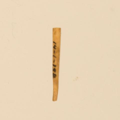 Primera imagen del registro Aguja (arqueológico y etnográfico)