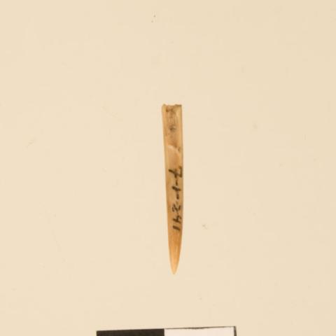 Primera imagen del registro Aguja (arqueológico y etnográfico)