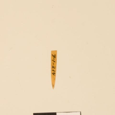 Primera imagen del registro Aguja (arqueológico y etnográfico)