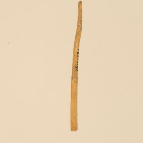 Primera imagen del registro Aguja (arqueológico y etnográfico)