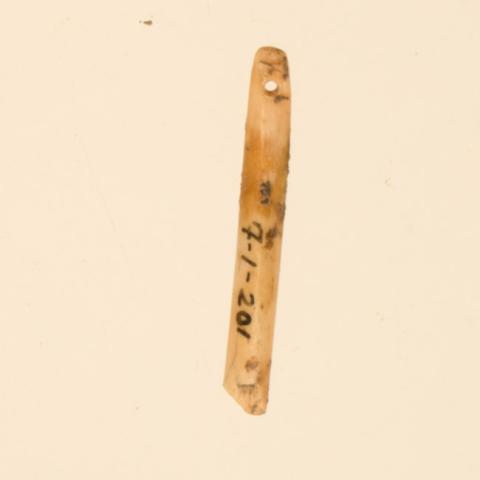 Primera imagen del registro Aguja (arqueológico y etnográfico)