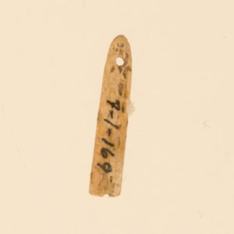 Primera imagen del registro Aguja (arqueológico y etnográfico)