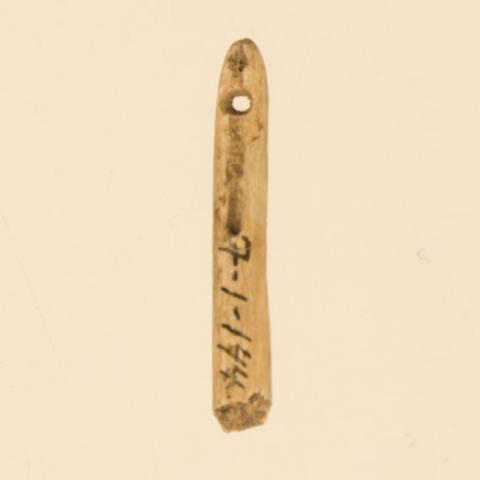 Primera imagen del registro Aguja (arqueológico y etnográfico)
