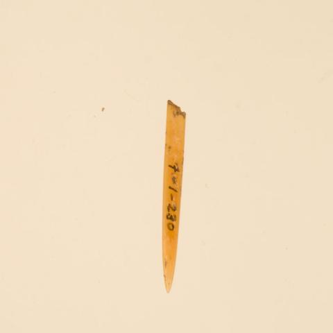 Primera imagen del registro Aguja (arqueológico y etnográfico)
