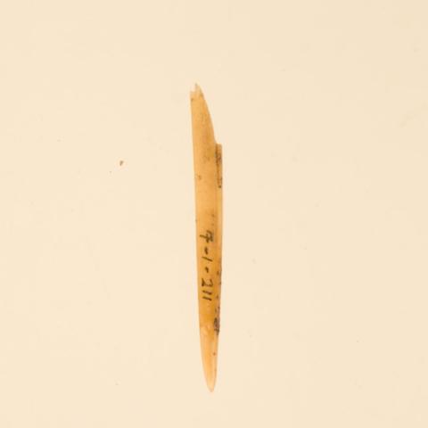 Primera imagen del registro Aguja (arqueológico y etnográfico)