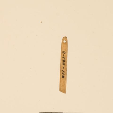 Primera imagen del registro Aguja (arqueológico y etnográfico)