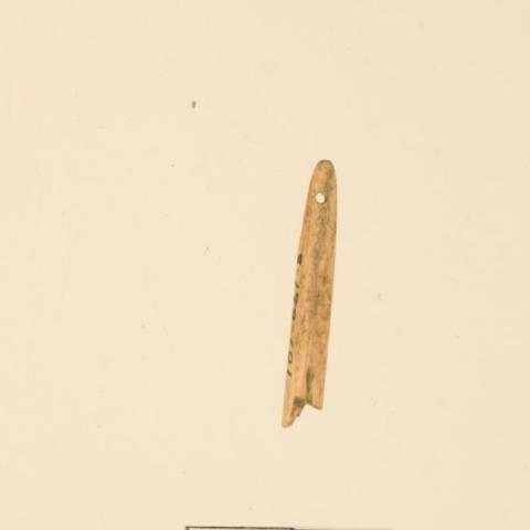 Primera imagen del registro Aguja (arqueológico y etnográfico)