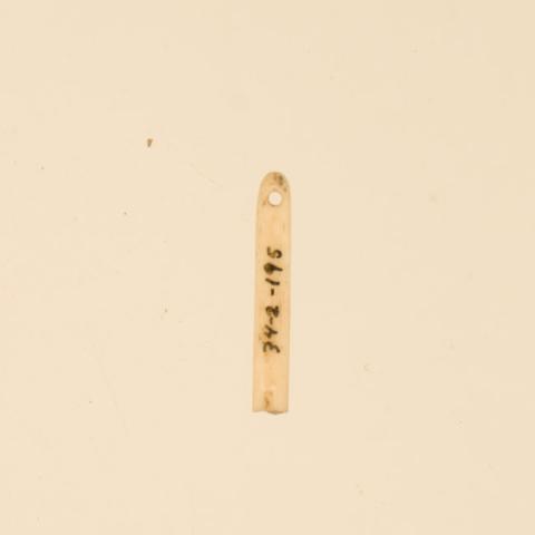 Primera imagen del registro Aguja (arqueológico y etnográfico)