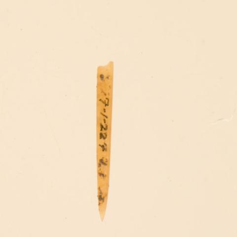 Primera imagen del registro Aguja (arqueológico y etnográfico)