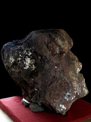 Primera imagen del registro Moai