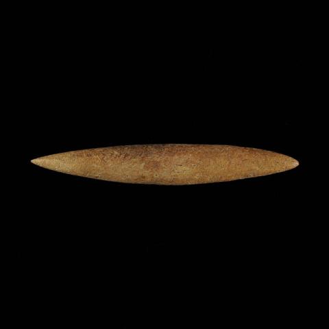 Primera imagen del registro Barba de arpón