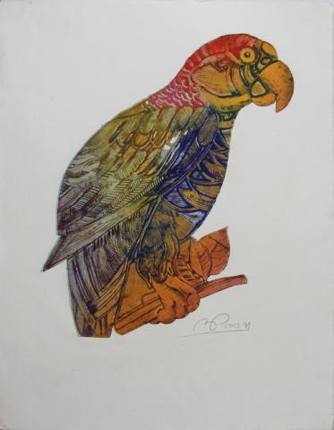 Primera imagen del registro El Guacamayo