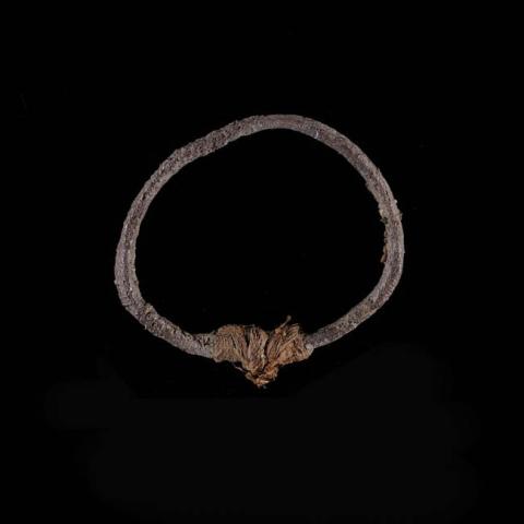 Primera imagen del registro Anillo (joya)