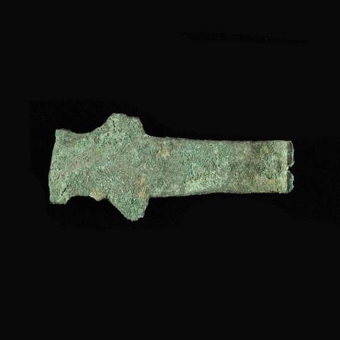 Primera imagen del registro Pinza