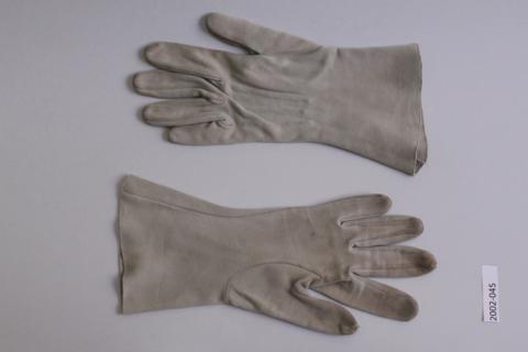 Primera imagen del registro Guantes
