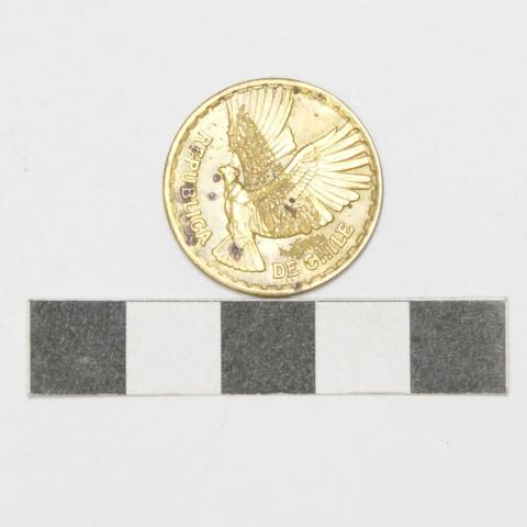 Primera imagen del registro Moneda Chilena