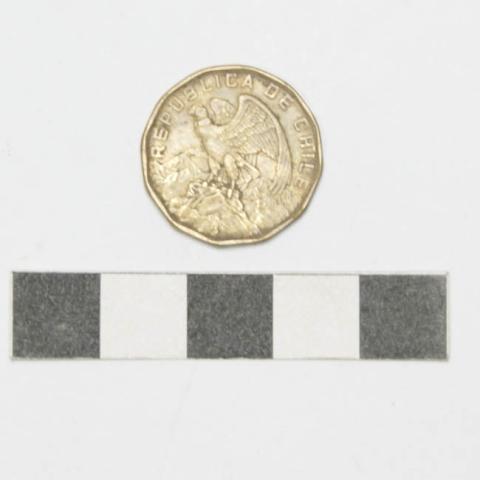 Primera imagen del registro Moneda Chilena