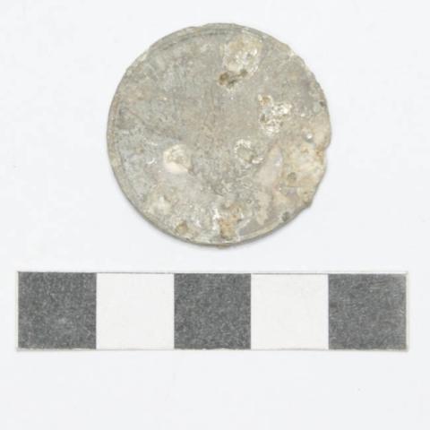 Primera imagen del registro Moneda Chilena
