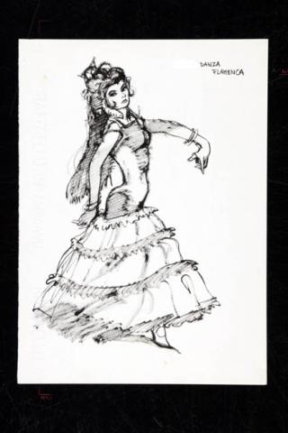 Primera imagen del registro Danza flamenca