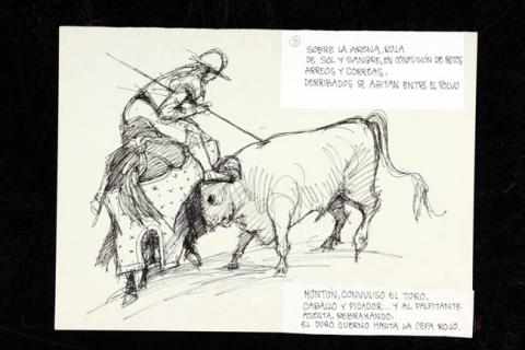 Primera imagen del registro Picador y toro