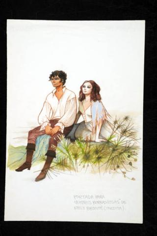 Primera imagen del registro Portada para "Cumbres Borrascosas"