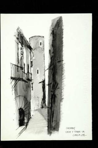 Primera imagen del registro CACERES, CASA Y TORRE DE CARVAJAL