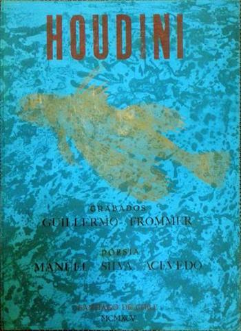 Primera imagen del registro Houdini