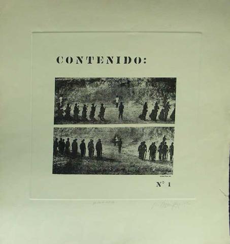Primera imagen del registro CONTENIDO Nº1