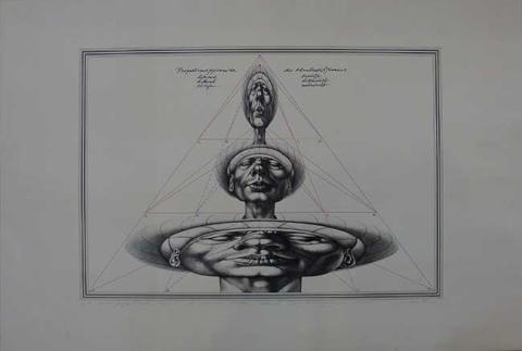Primera imagen del registro Adam Proportional
