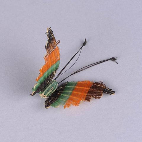 Primera imagen del registro Mariposa