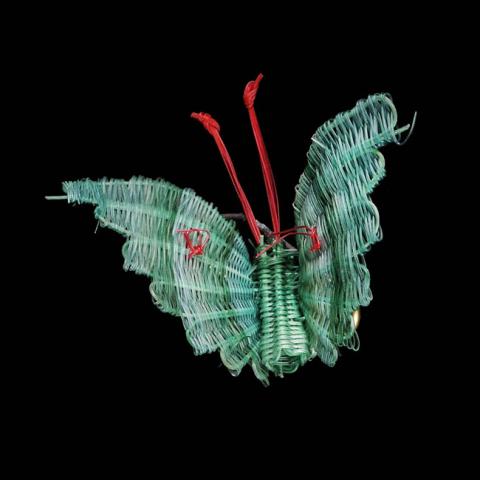 Primera imagen del registro Mariposa