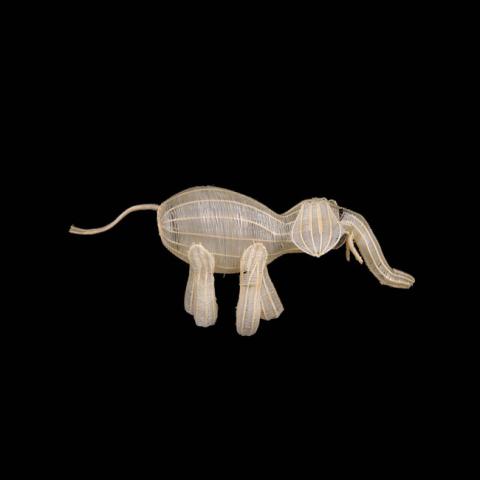 Primera imagen del registro Elefante