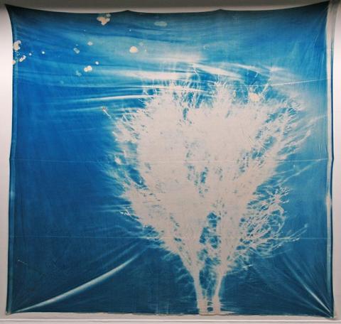 Primera imagen del registro Espinograma Azul