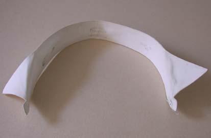 Primera imagen del registro Cuello