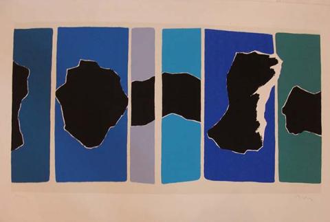 Primera imagen del registro Blue-panels