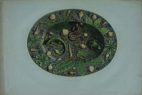 Primera imagen del registro Plat à reptiles Collection de Monsieur le baron de la Villestreux